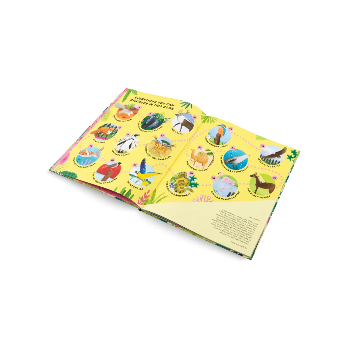 Animals Everywhere- Learn all About Animal Habitats Around the World - Image 2