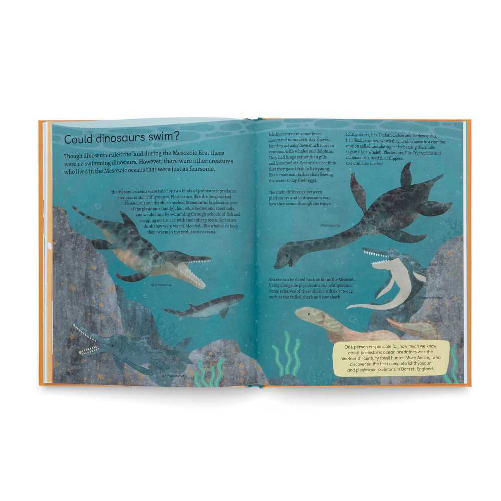 Ask Me About Dinosaurs- Questions and Answers About Dinosaurs - Image 5