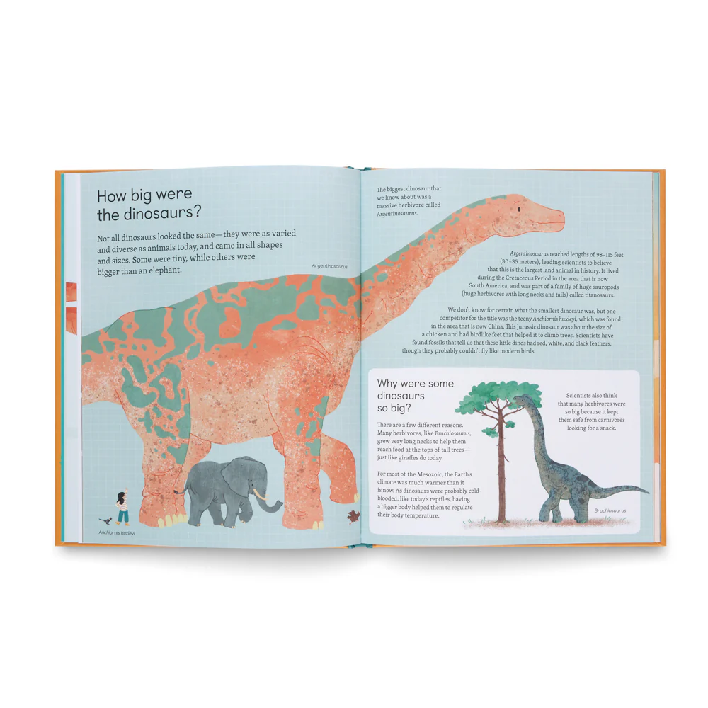 Ask Me About Dinosaurs- Questions and Answers About Dinosaurs - Image 6