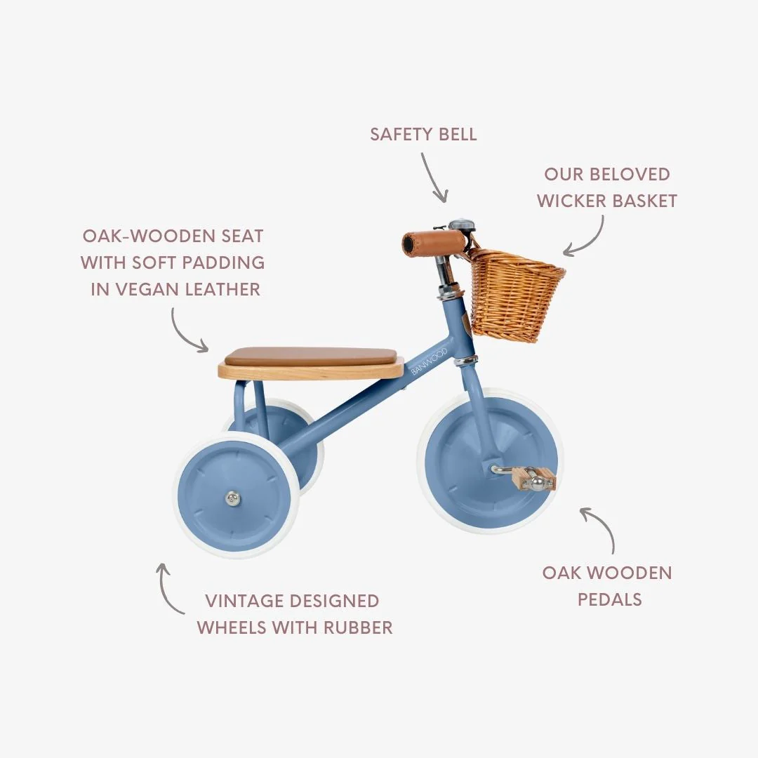 Banwood Vintage Trike (Blue) - Image 3