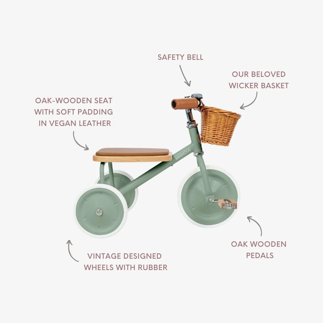 Banwood Vintage Trike (Forest) - Image 6