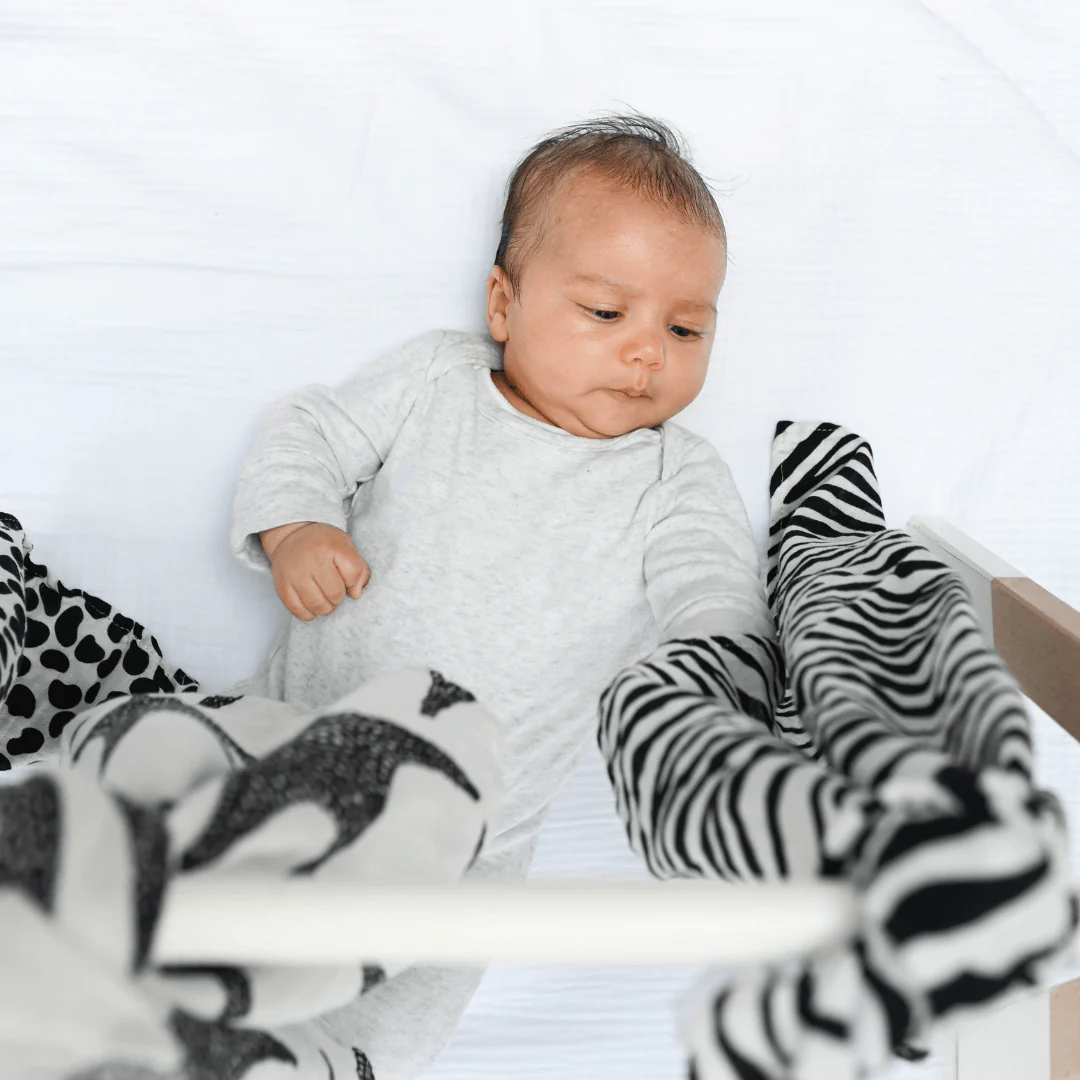 Etta Loves Sensory Essential Starter Kit - Image 4