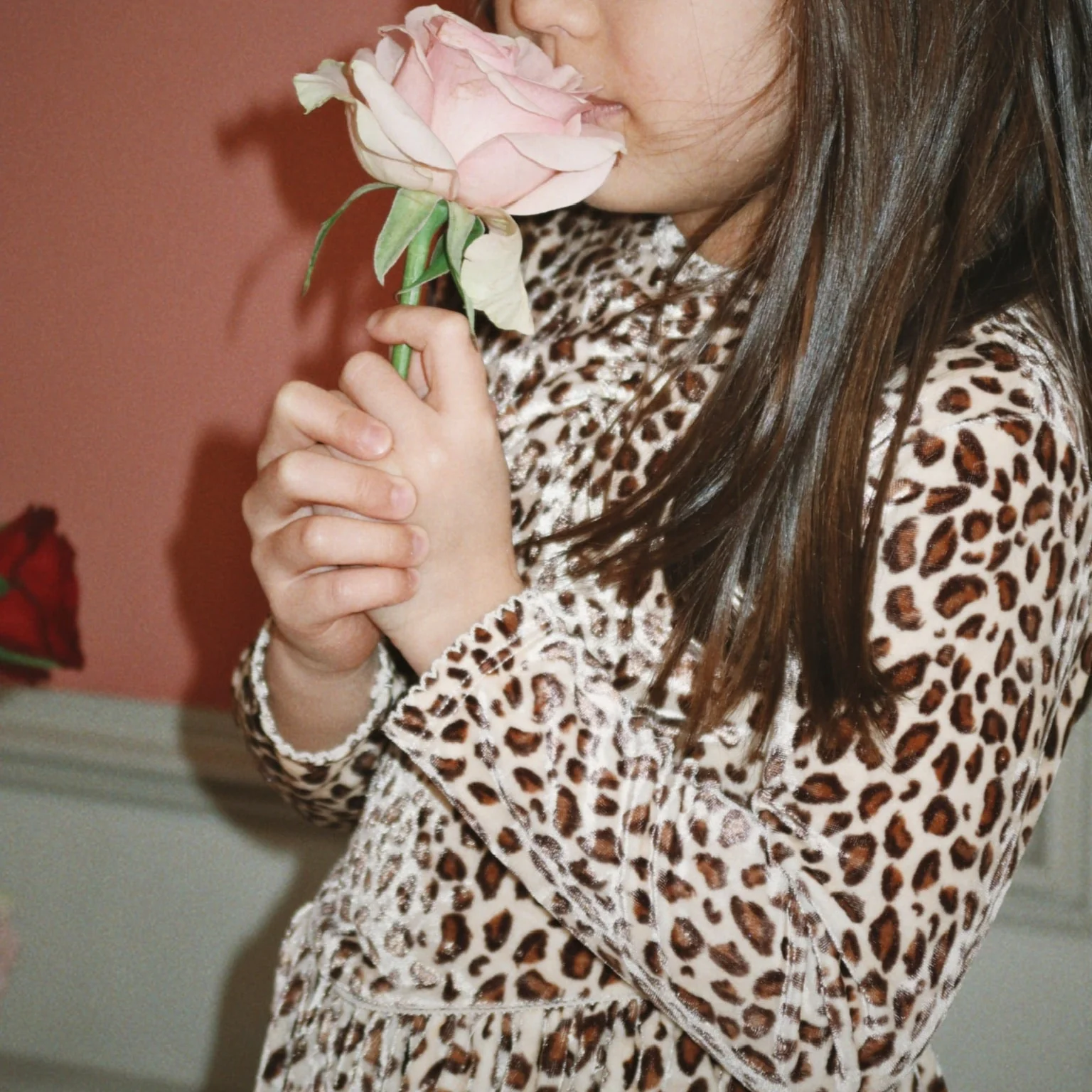 Carlito Leopard Print Velvet Dress - Image 4