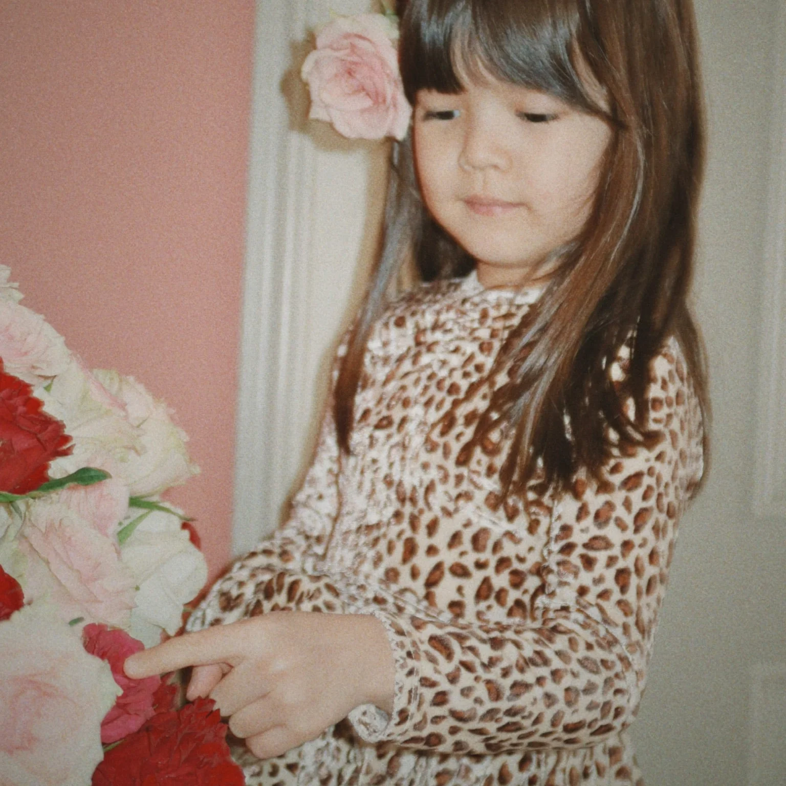 Carlito Leopard Print Velvet Dress - Image 6