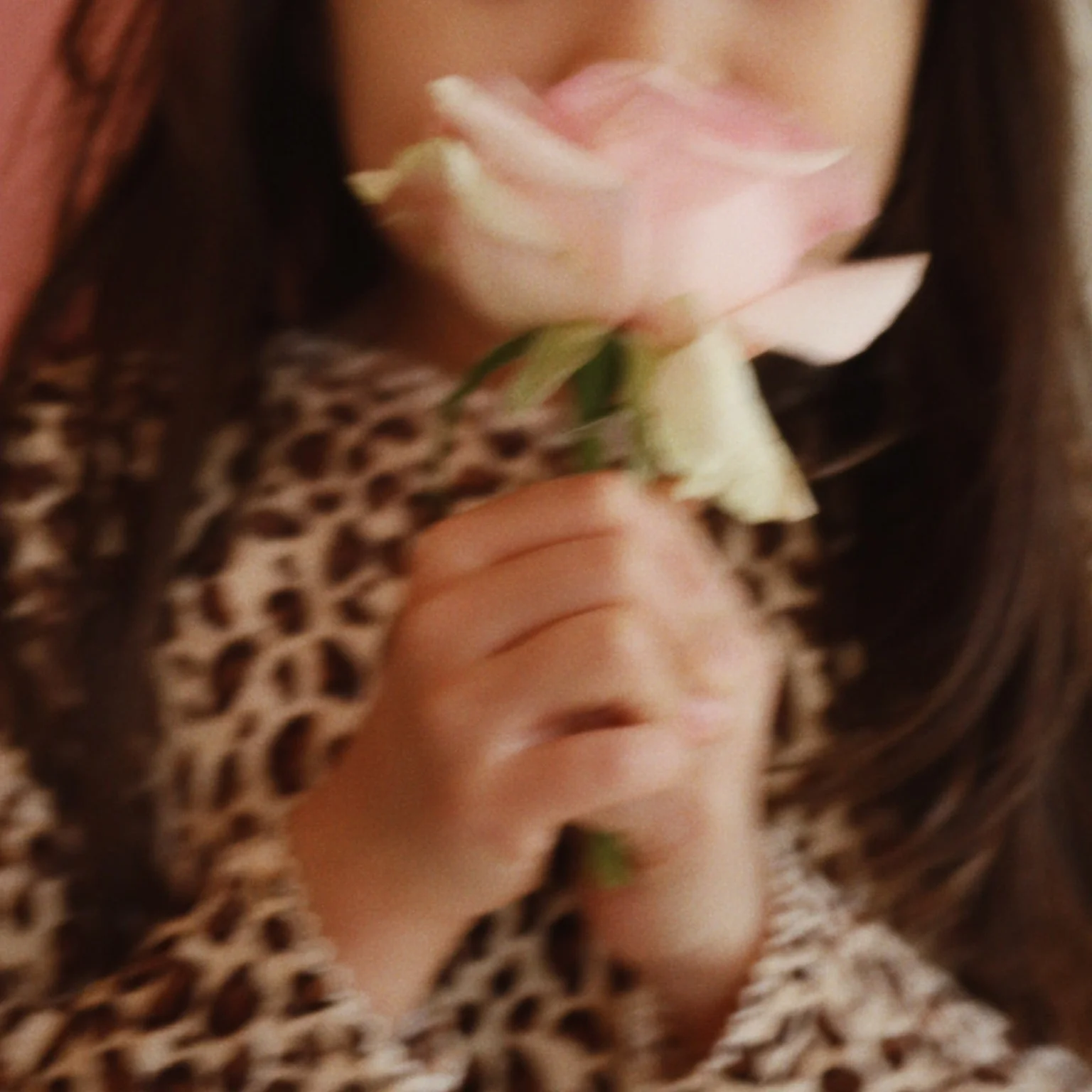 Carlito Leopard Print Velvet Dress - Image 7