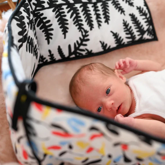 Etta Loves Plant Print Reversible Sensory Strip - Image 2