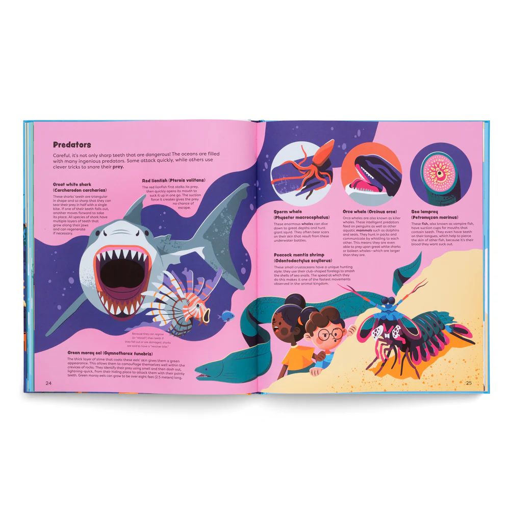 Explore The Ocean- Learn all About Adventures Under the Sea - Image 5