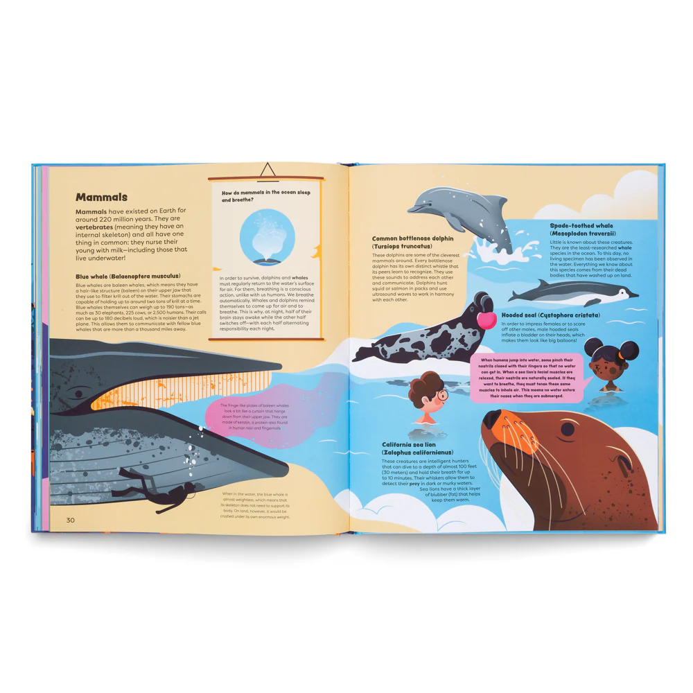 Explore The Ocean- Learn all About Adventures Under the Sea - Image 6