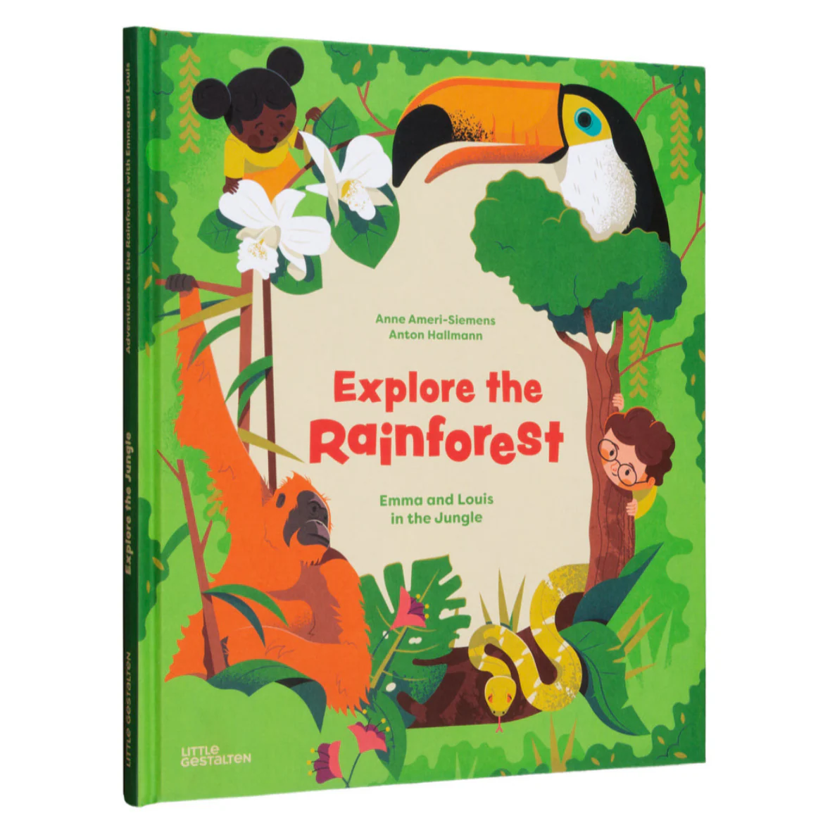 Explore The Rainforest- Explore the Depths of the Rainforest