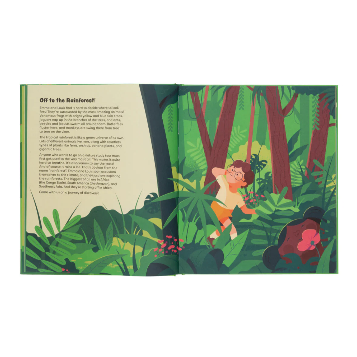 Explore The Rainforest- Explore the Depths of the Rainforest - Image 3