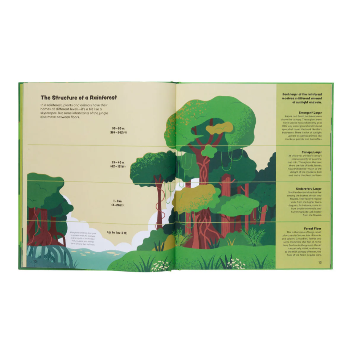 Explore The Rainforest- Explore the Depths of the Rainforest - Image 4
