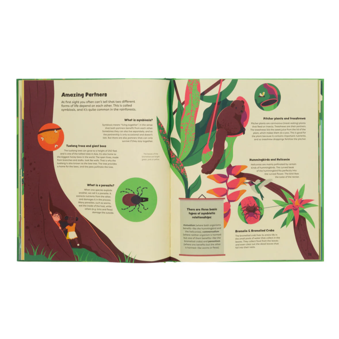 Explore The Rainforest- Explore the Depths of the Rainforest - Image 6