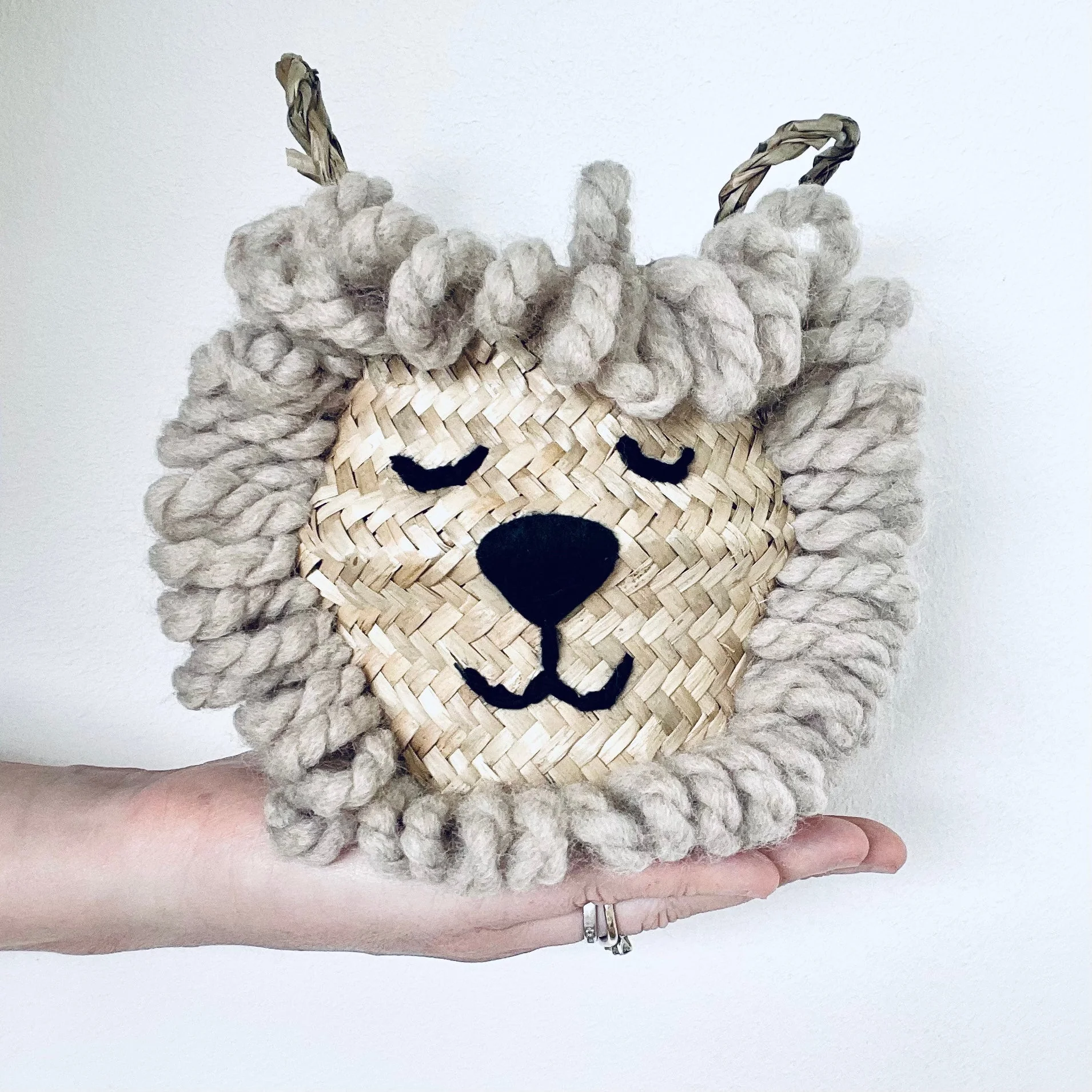 Natural Lion Handwoven Storage Basket (Mini) - Image 2