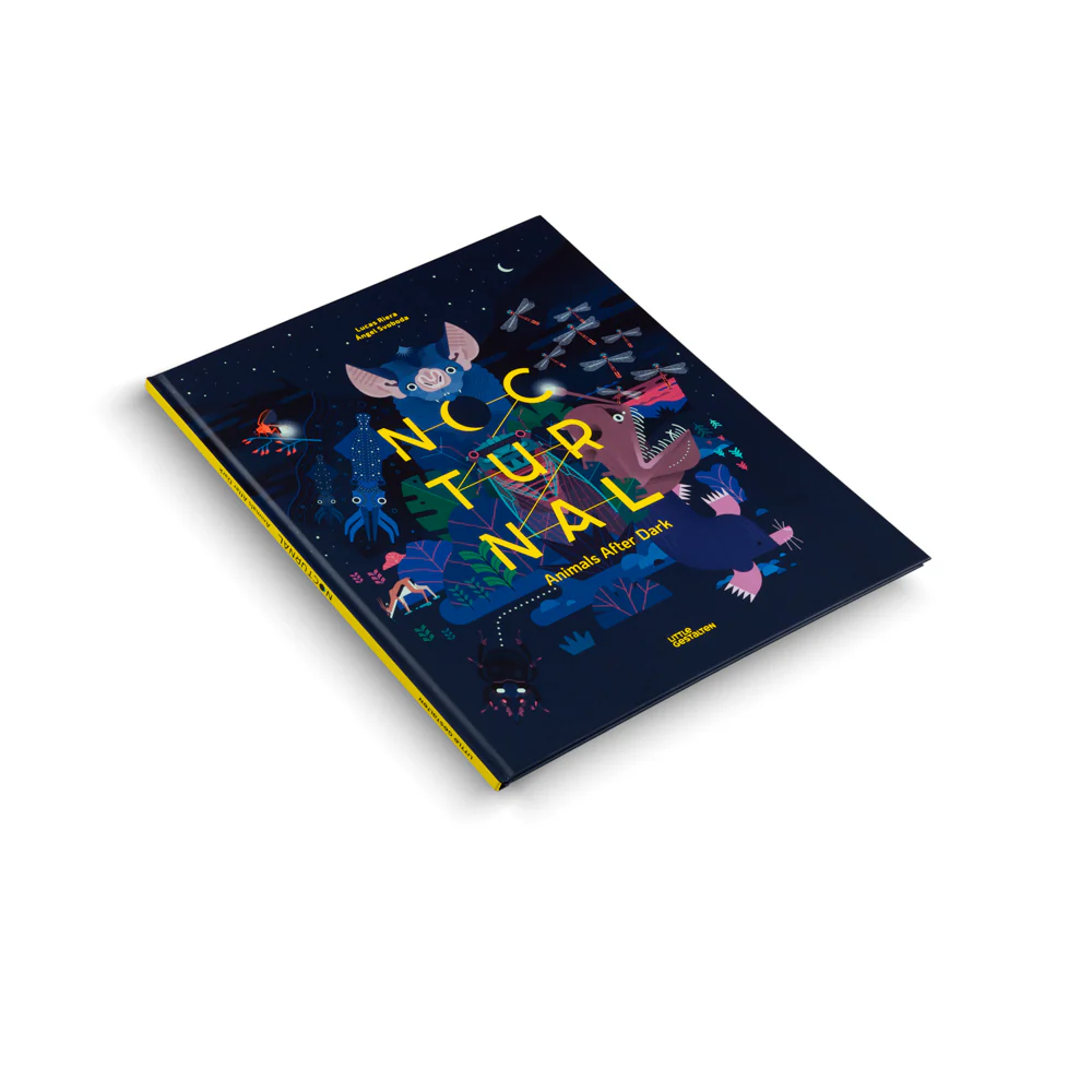 Nocturnal- A Book About Animals After Dark - Image 2