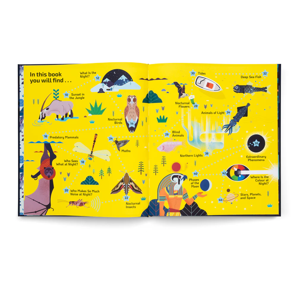 Nocturnal- A Book About Animals After Dark - Image 3