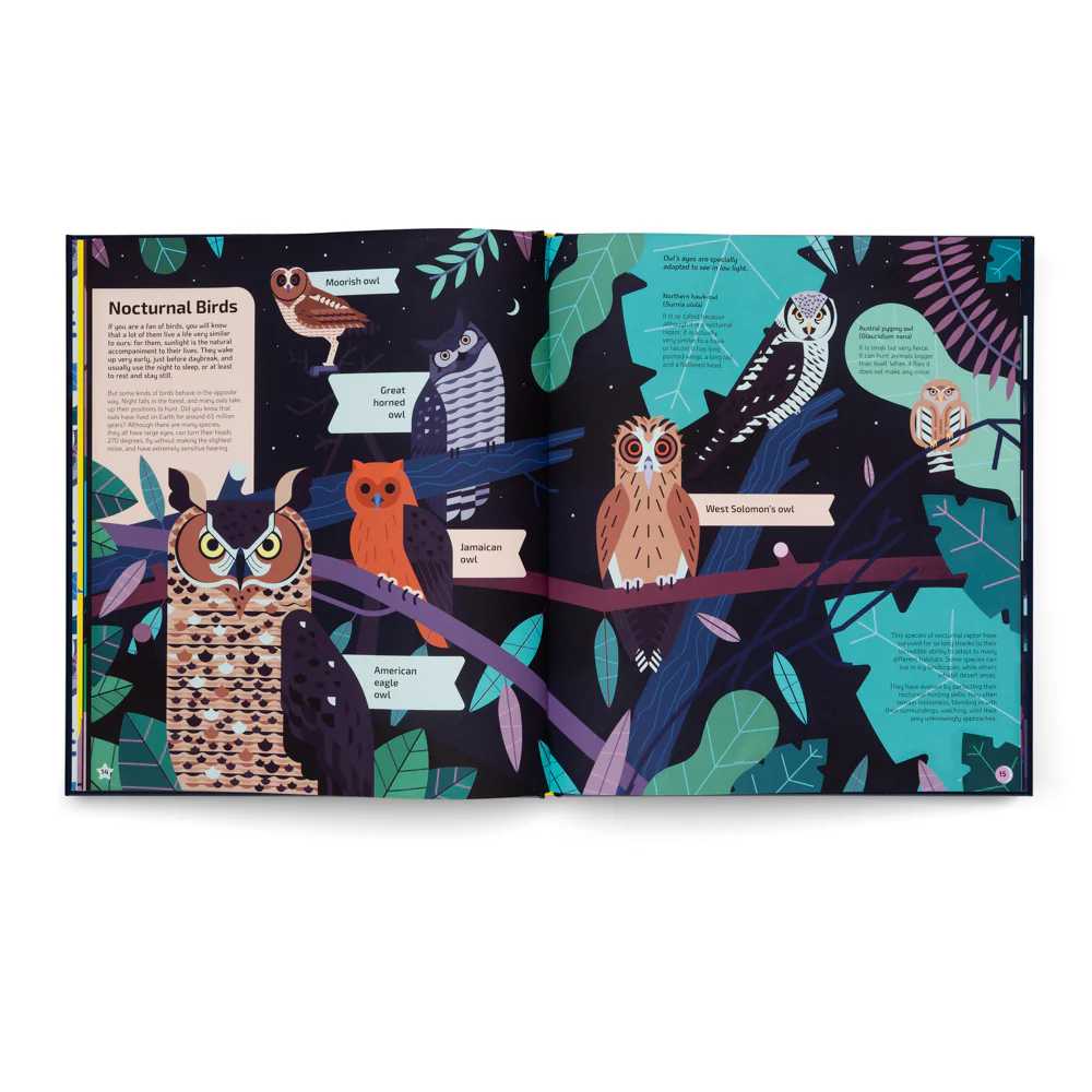 Nocturnal- A Book About Animals After Dark - Image 5