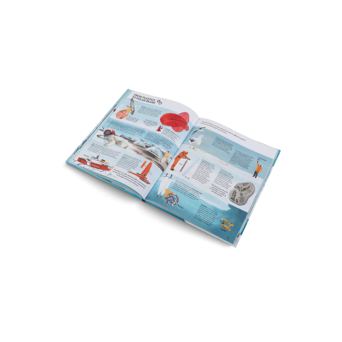 Penguins And Polar Bears- A Introduction Book About the Arctic and Antarctic - Image 2