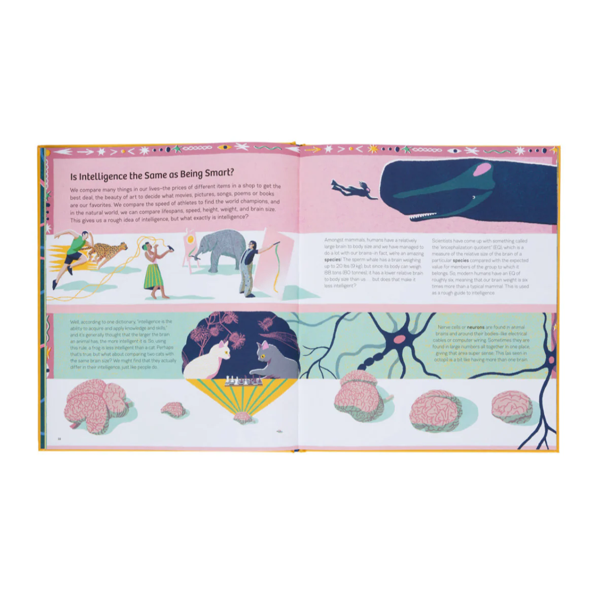 Smart Animals- Learn About Clever Creatures in the Animal Kingdom - Image 3