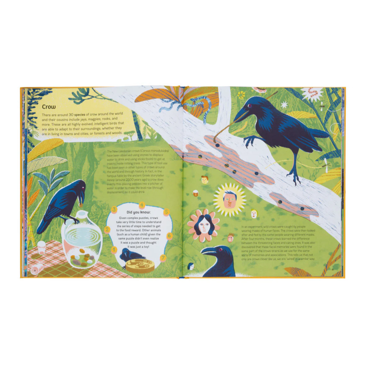 Smart Animals- Learn About Clever Creatures in the Animal Kingdom - Image 6