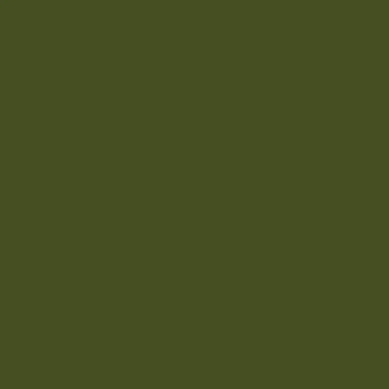 The Lowdown Double Door Locker Cabinet (Olive) - Image 9