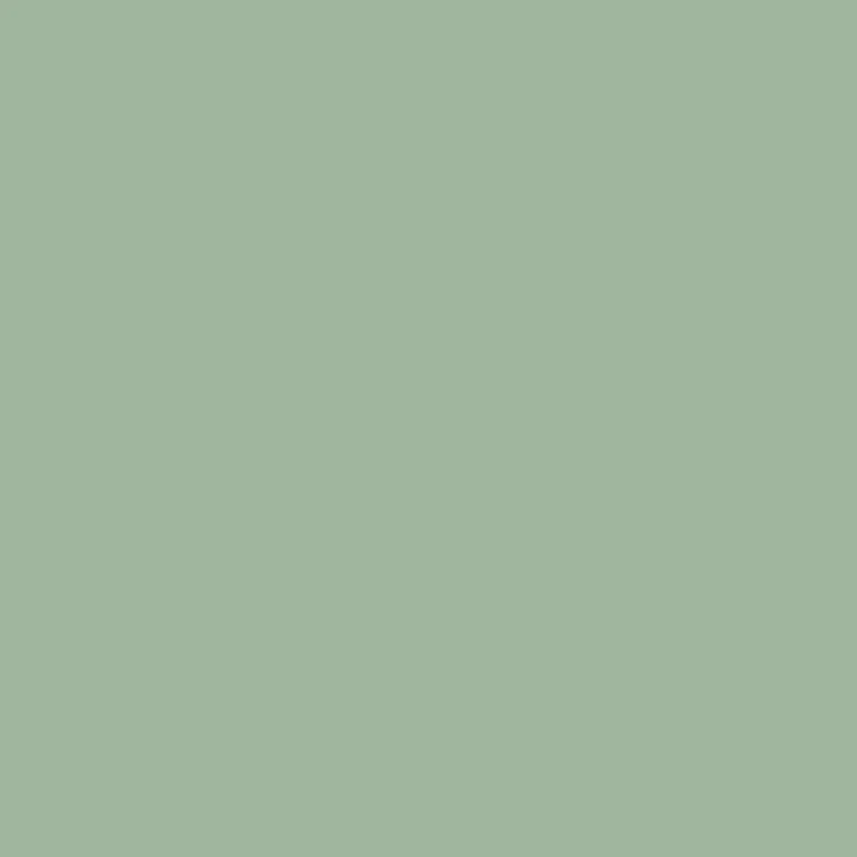 The Midi Double Door Locker Cabinet (Sage) - Image 10