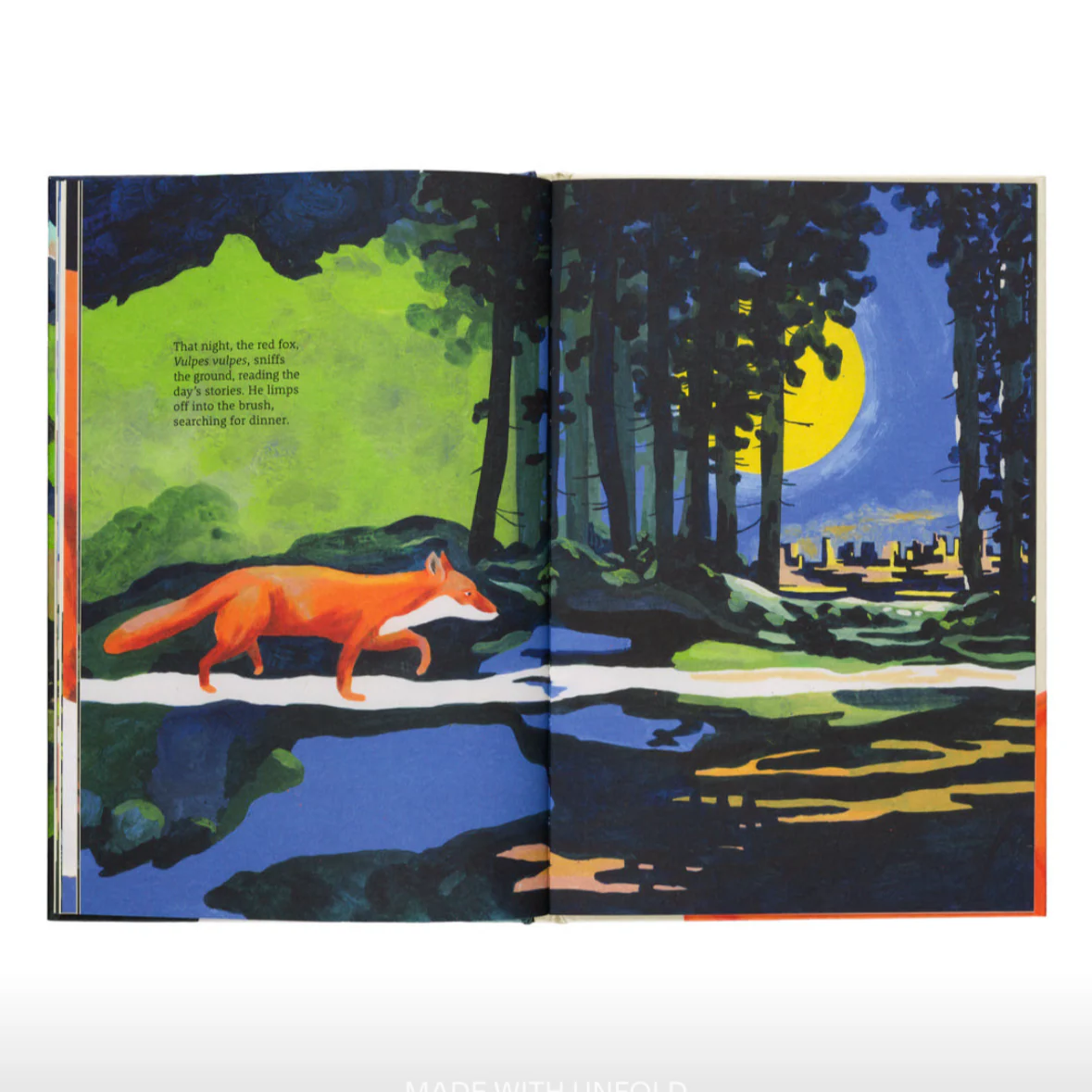 The Path - A Story About Finding Your Way - Image 6