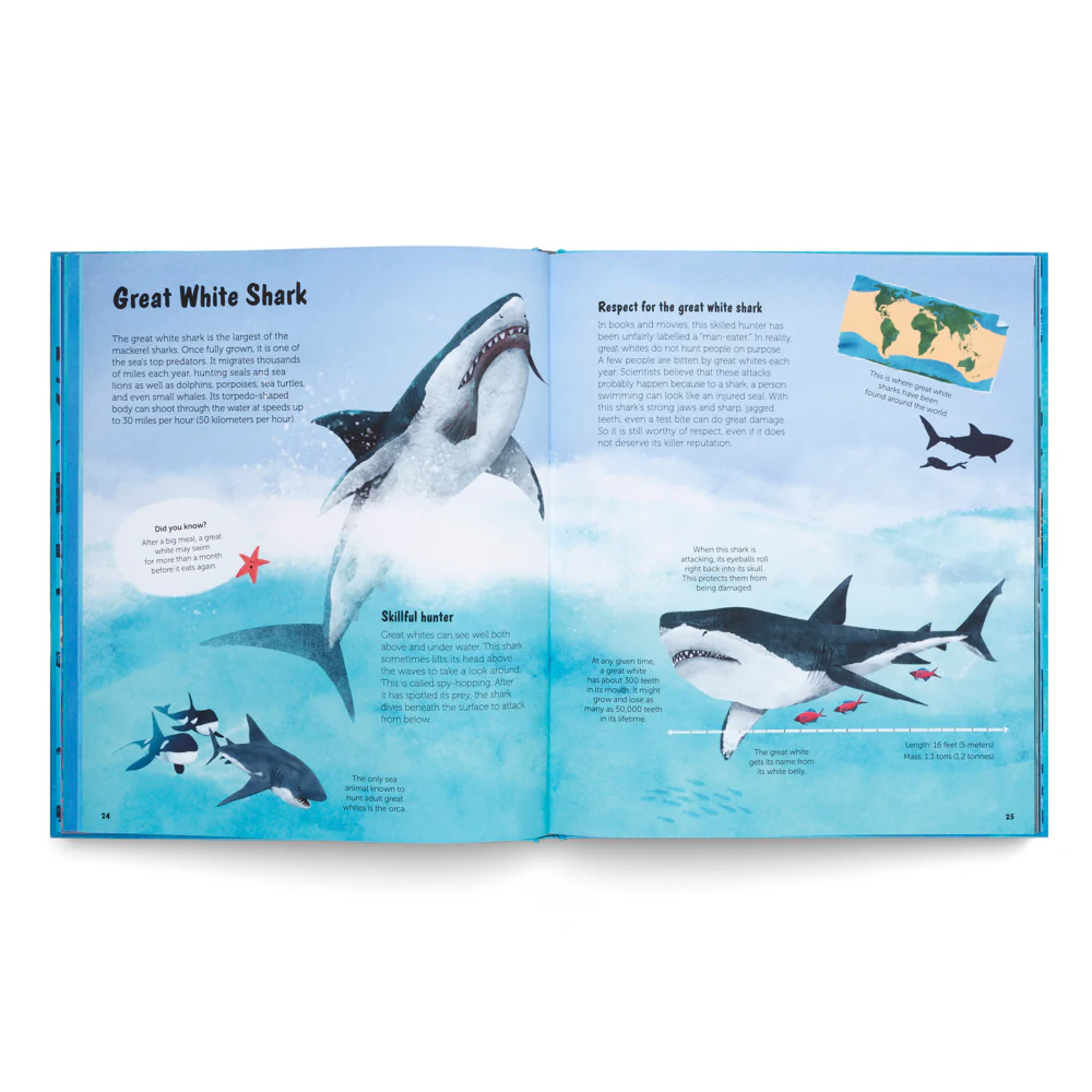 The World of Sharks- Get to Know the Fascinating Creatures of the Oceans - Image 5